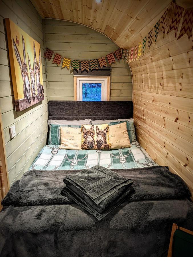 Villa Emlyn'S Coppice - Luxury Woodland Glamping Holywell  Exterior foto