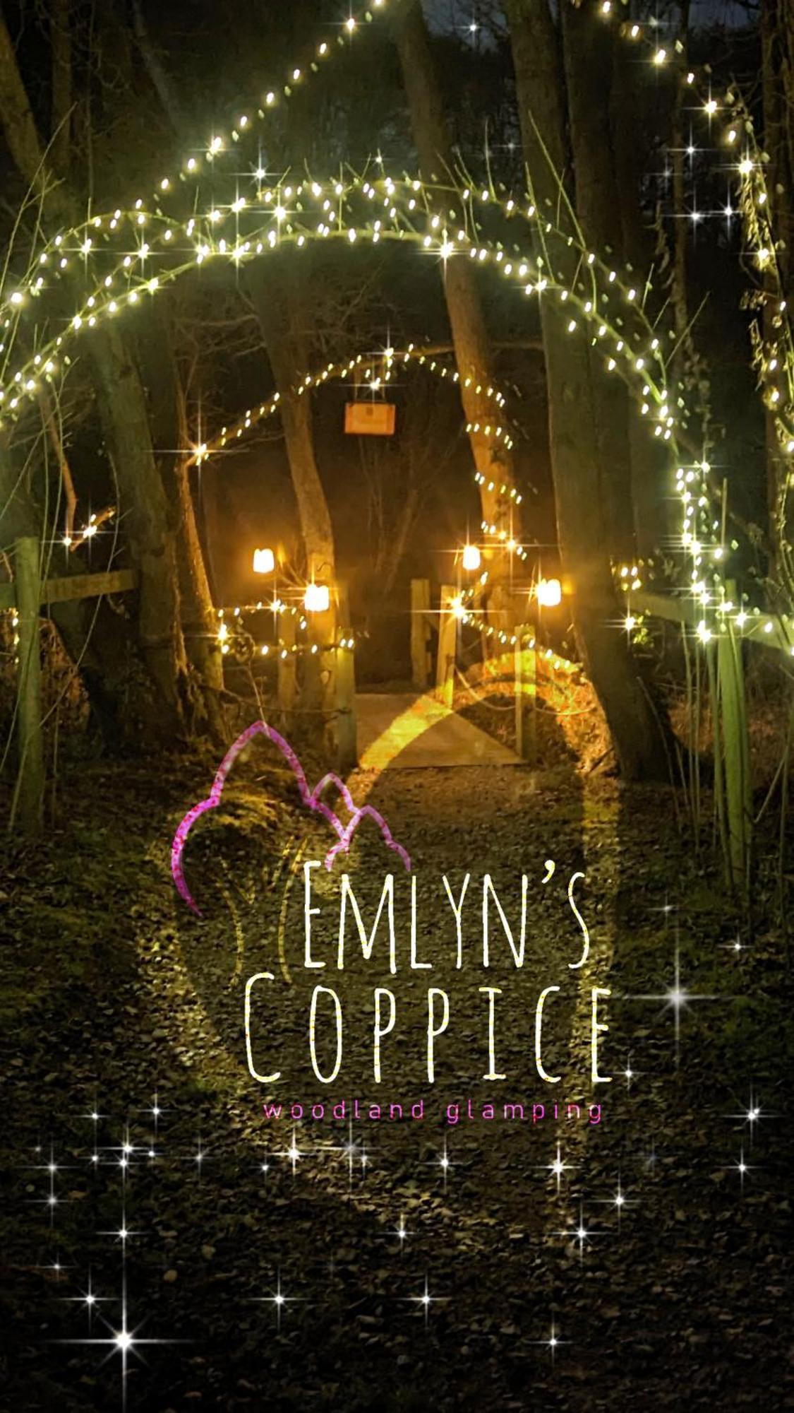 Villa Emlyn'S Coppice - Luxury Woodland Glamping Holywell  Exterior foto